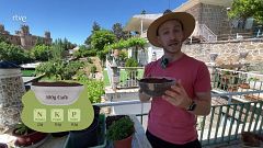 Va de Verd - Álvaro, adob de cafè