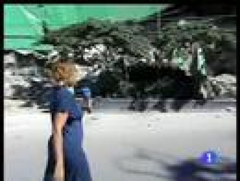 Informe Semanal - Los haitianos se refugian al raso | Ver
