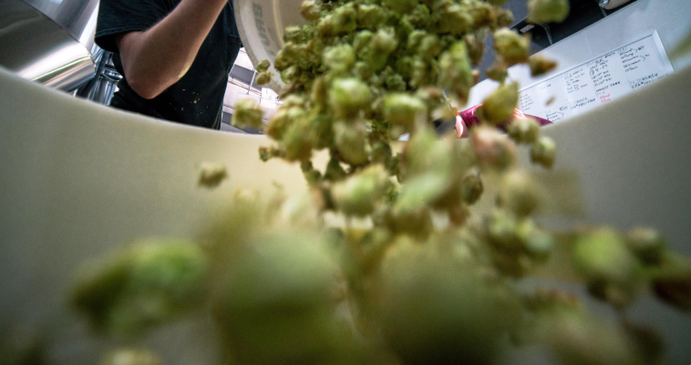 Hablando claro - Trucos para evitar el desperdicio de alimentos