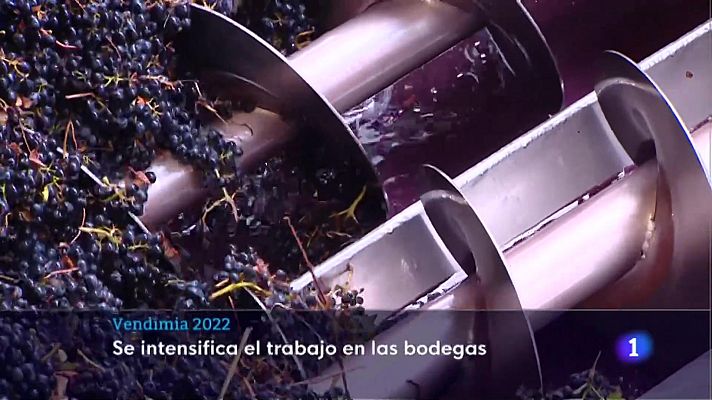 Informativo Telerioja - Informativo Telerioja  - 29/09/22