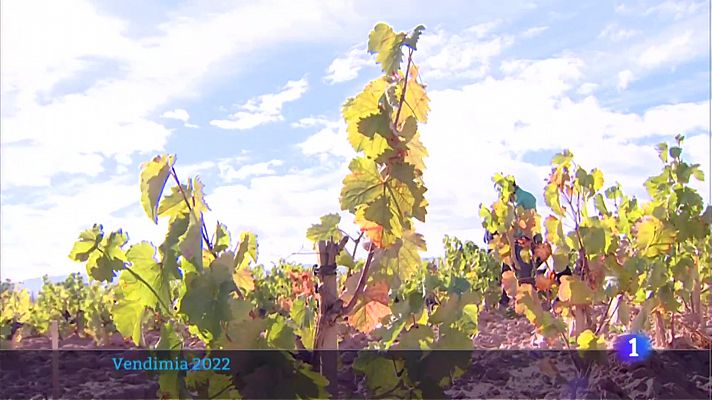 Informativo Telerioja - Informativo Telerioja 2 - 29/09/22