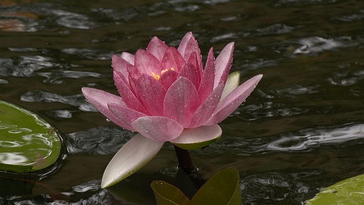 Aquí la Tierra - Aquí la Tierra - 30/09/22