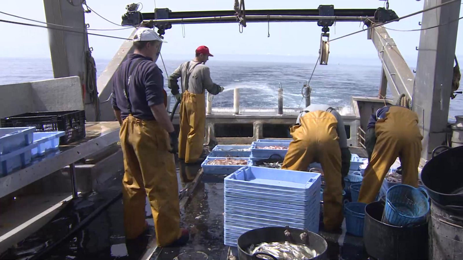 Agrosfera - 01/10/22 - ver ahora