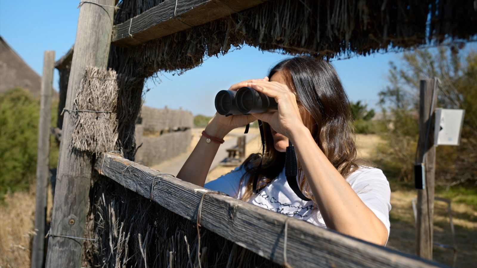 Reduce tu huella - Doñana, el santuario de las aves - ver ahora