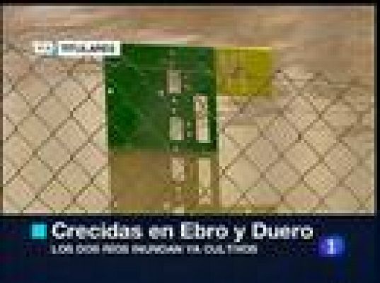 Telediario 1 - Telediario en 4' - 17/01/10