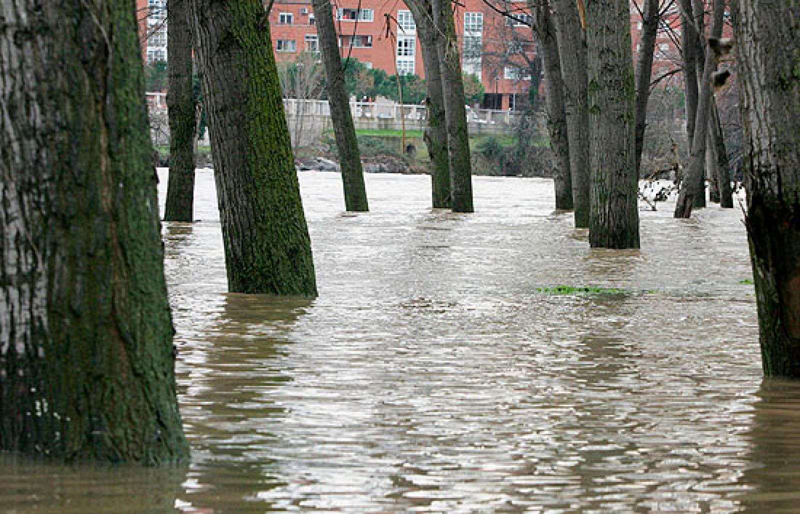 Alerta por la crecida de los ríos Ebro y Duero