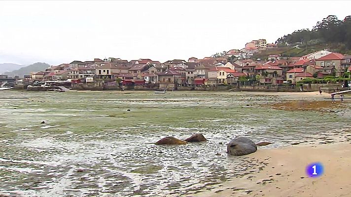 La marea roja en la Ría de Pontevedra impide trabajar a los mariscadores