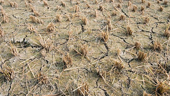 Los problemas de la sequía: la falta de lluvia y el derroche