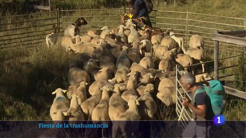 Informativo Telerioja  - 03/10/22 - Ver ahora