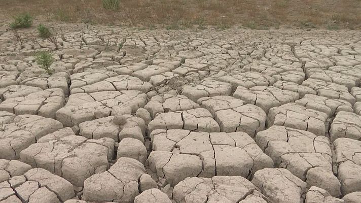 La Viñuela, sin agua para regar