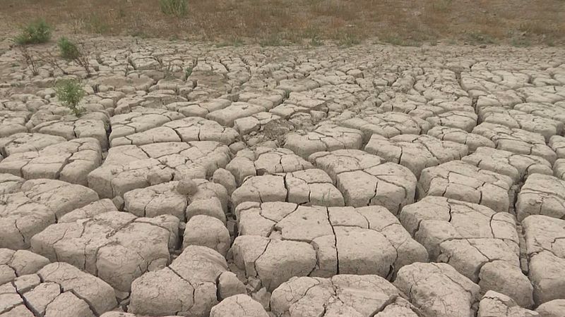 La Viñuela, sin agua para regar - Ver ahora