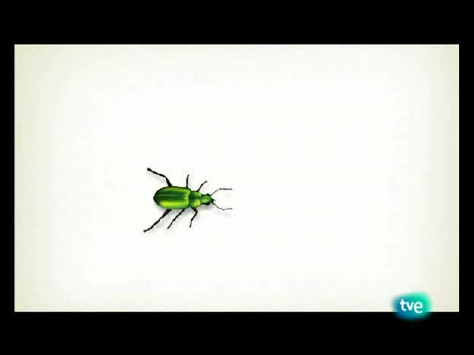 El escarabajo verde - Canal payes