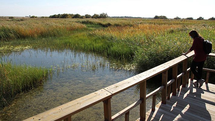 Telediario 1 - Casi la mitad de los acuíferos subterráneos en España están contaminados o sobreexplotados, según Greenpeace