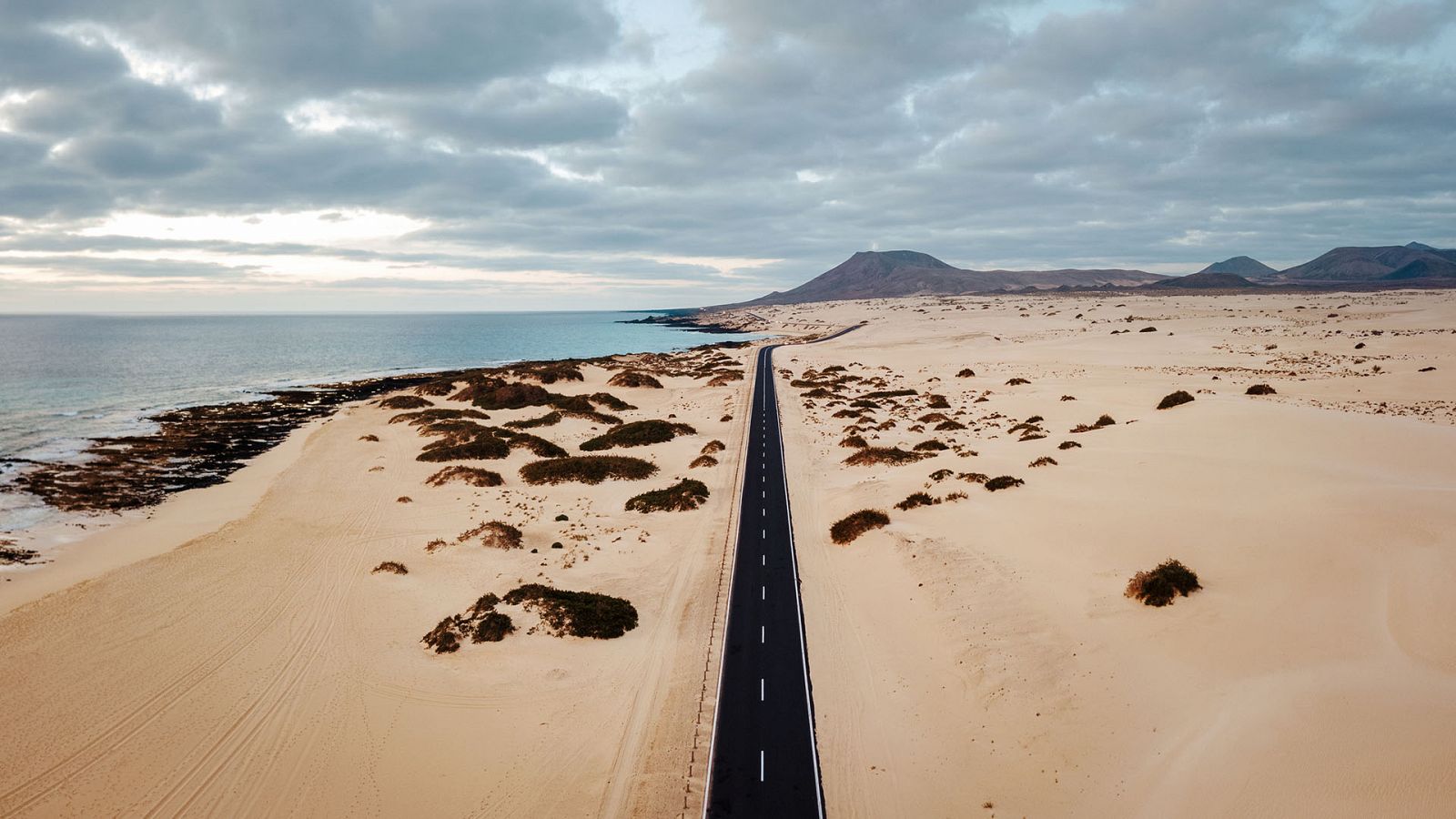 El escarabajo verde - Avance de "Fuerteventura, un desierto habitado"