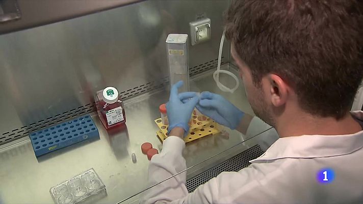 L'Informatiu - Un estudi assegura que l'evolució de la leucèmia ja està escrita