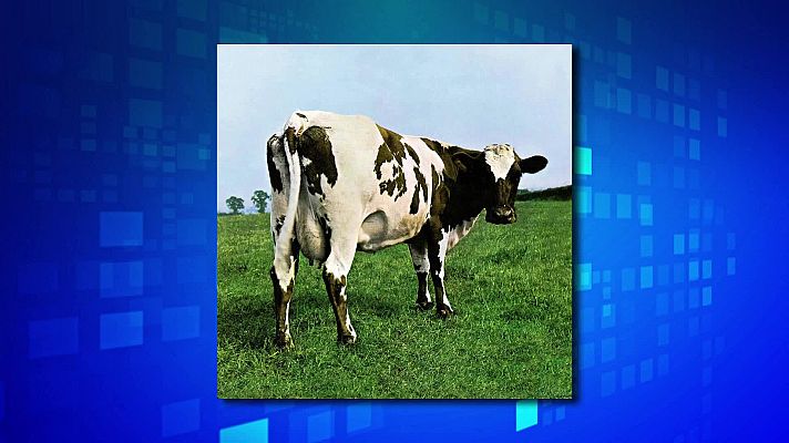 Saber y ganar - Saber y ganar - 11/10/22