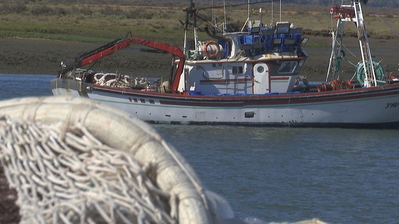 Pesca de fondo en Cádiz y Huelva - Ver ahora