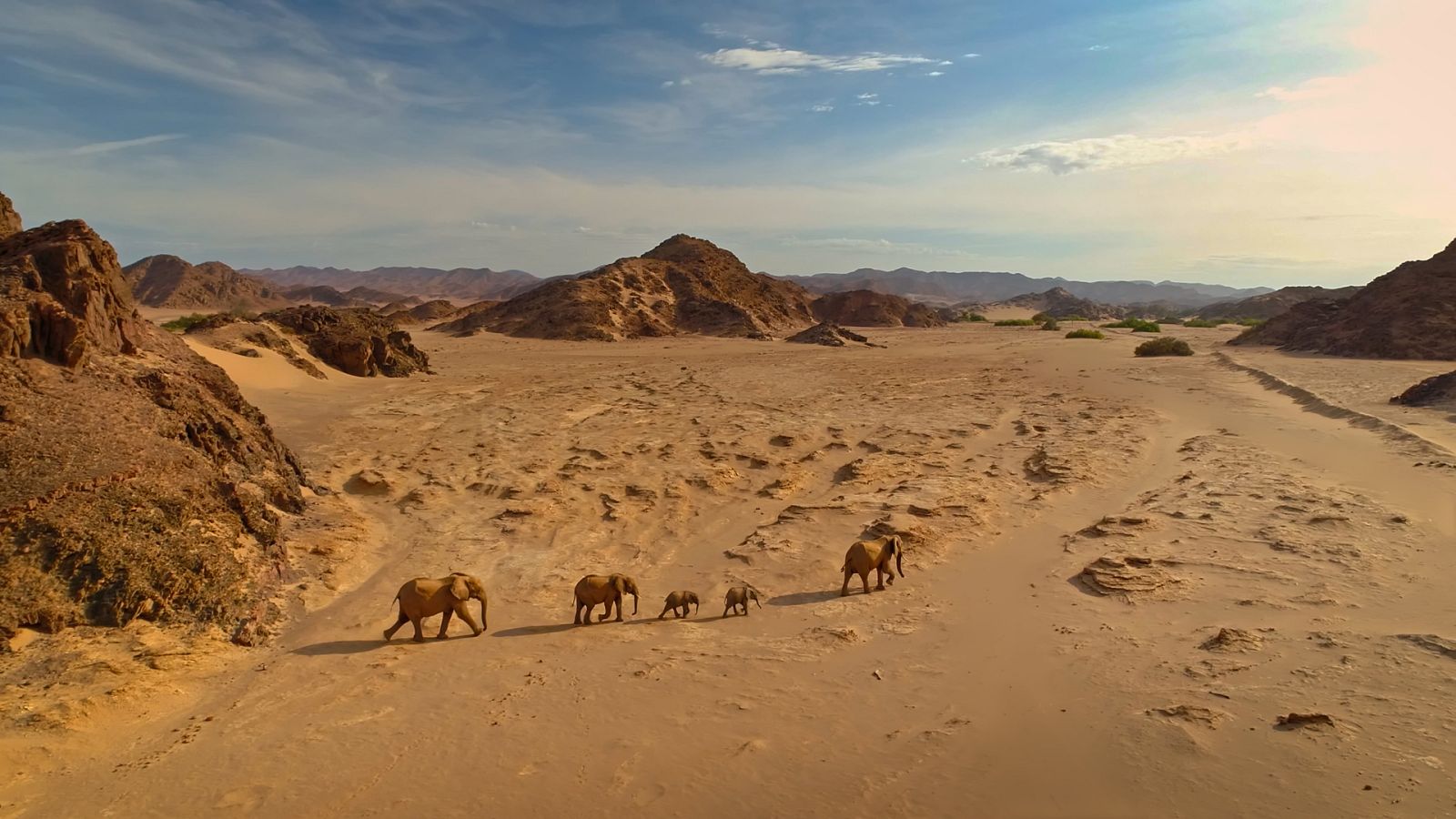 El Kalahari, la otra ley de la selva - Episodio 1 - ver ahora