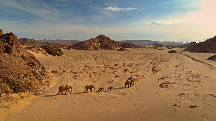 El Kalahari, la otra ley de la selva - Episodio 1