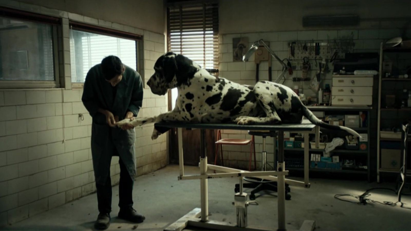 El cine de La 2 - Dogman (presentación) - ver ahora