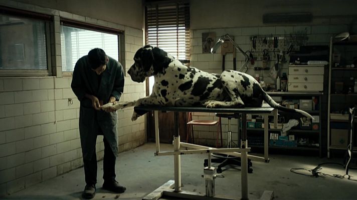 El cine de La 2 - Dogman (presentación)