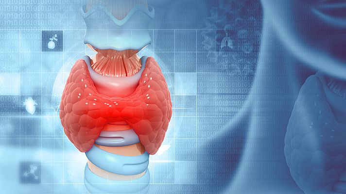 Saber vivir - ¿Qué es la glándula tiroides?