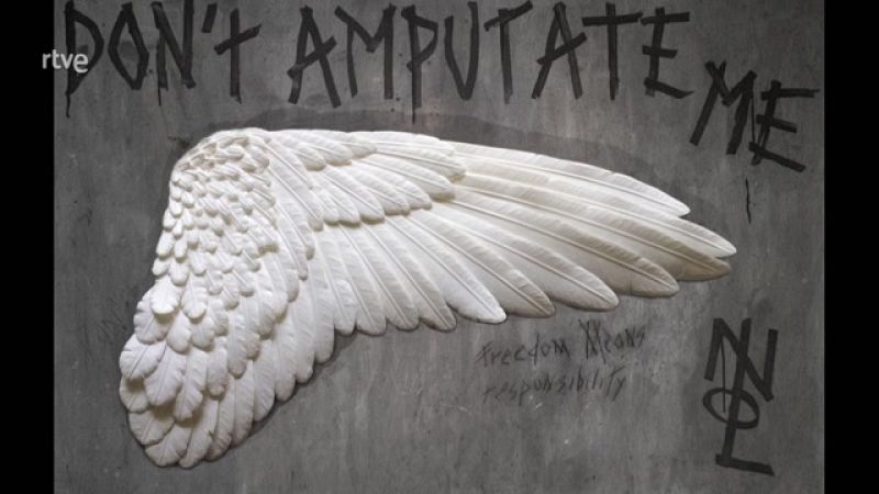 Boek visual nos muestra una selección de obras de la artista franco-mexicana Nolvenn Le Goff. Con papel, imaginación y técnica esculpe obras cargadas de belleza.