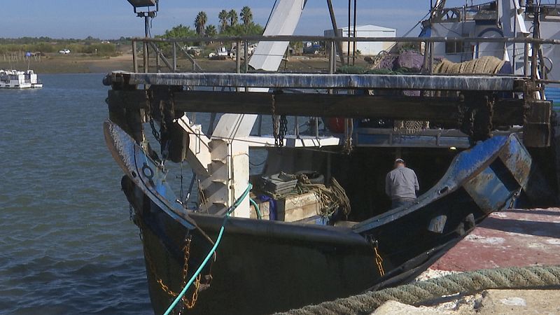 Pesca de arrastre en Huelva y Cádiz - Ver ahora