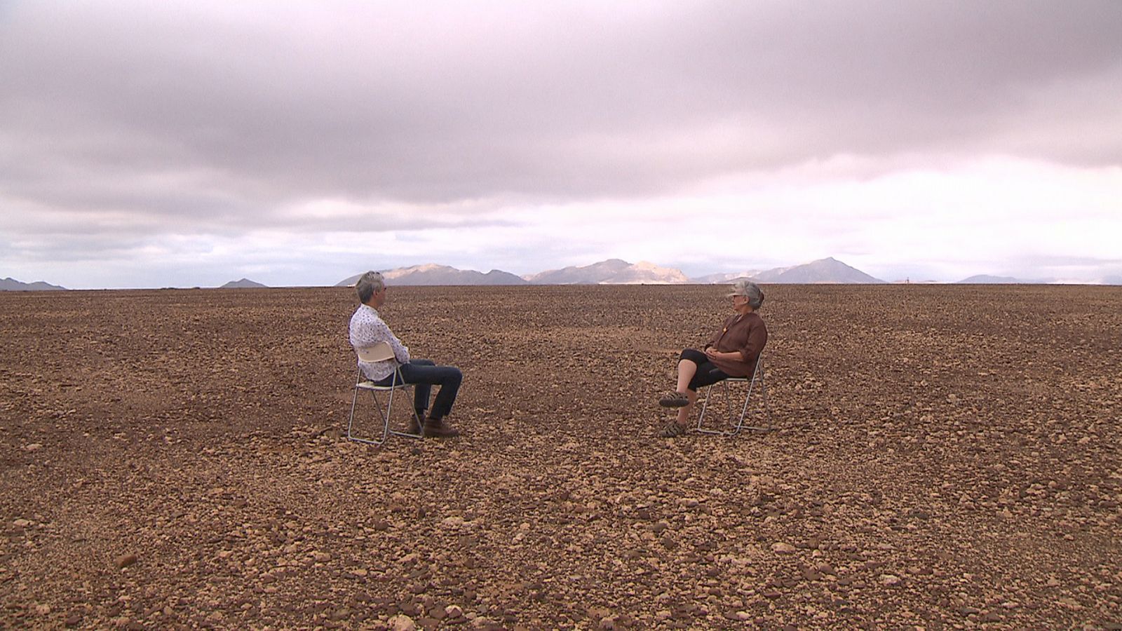 El escarabajo verde - Fuerteventura, un desierto habitado