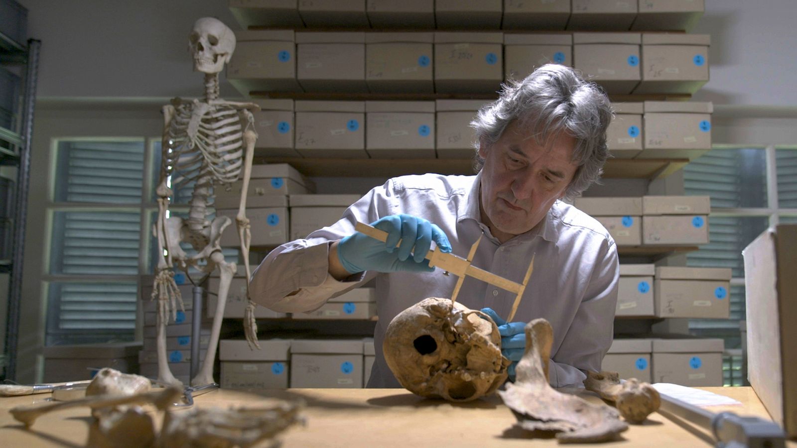 Casos abiertos de la historia Conspiración en el harén. El caso de