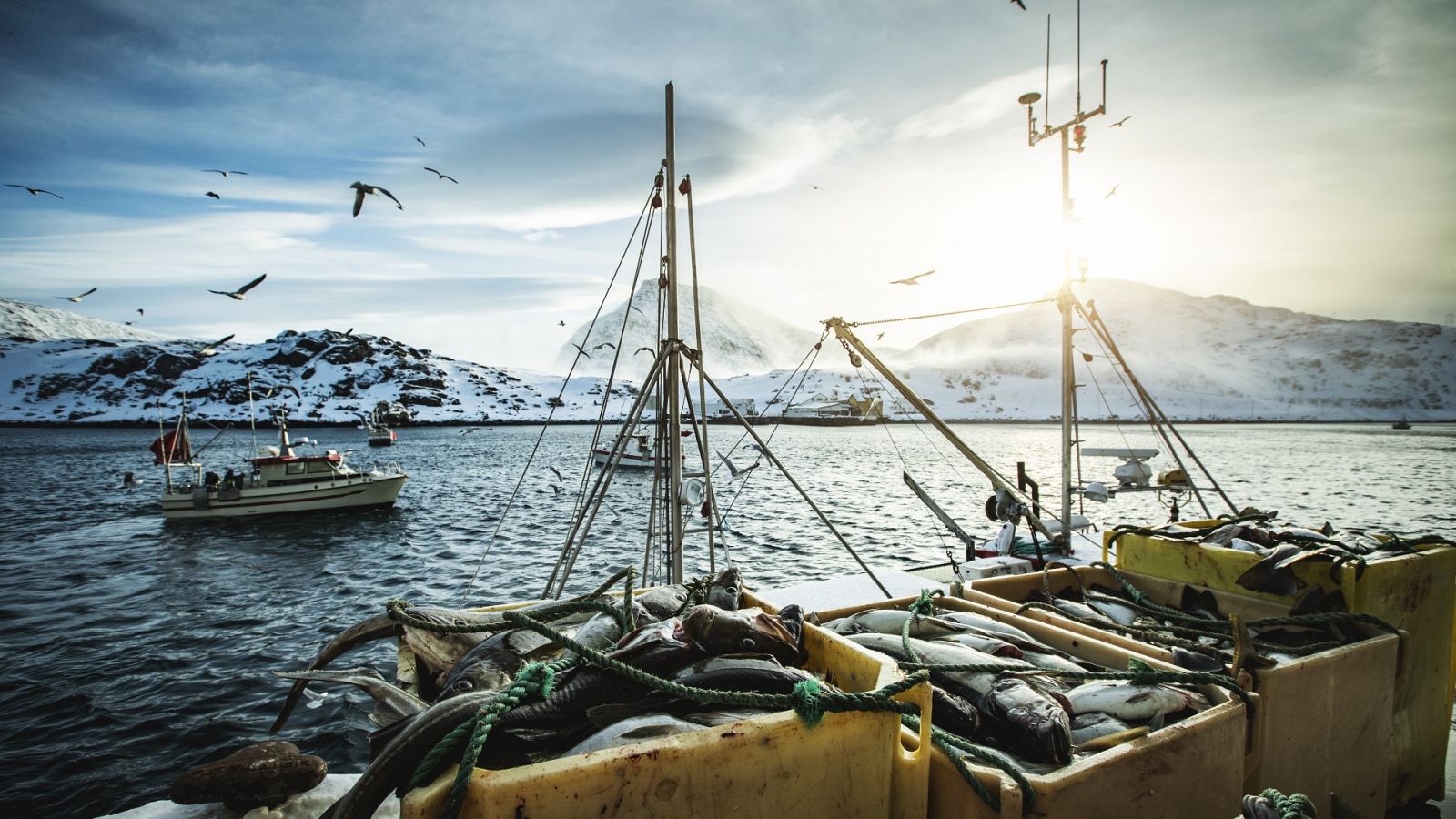 El veto europeo a la pesca de fondo, una medida "muy mal desarrollada"