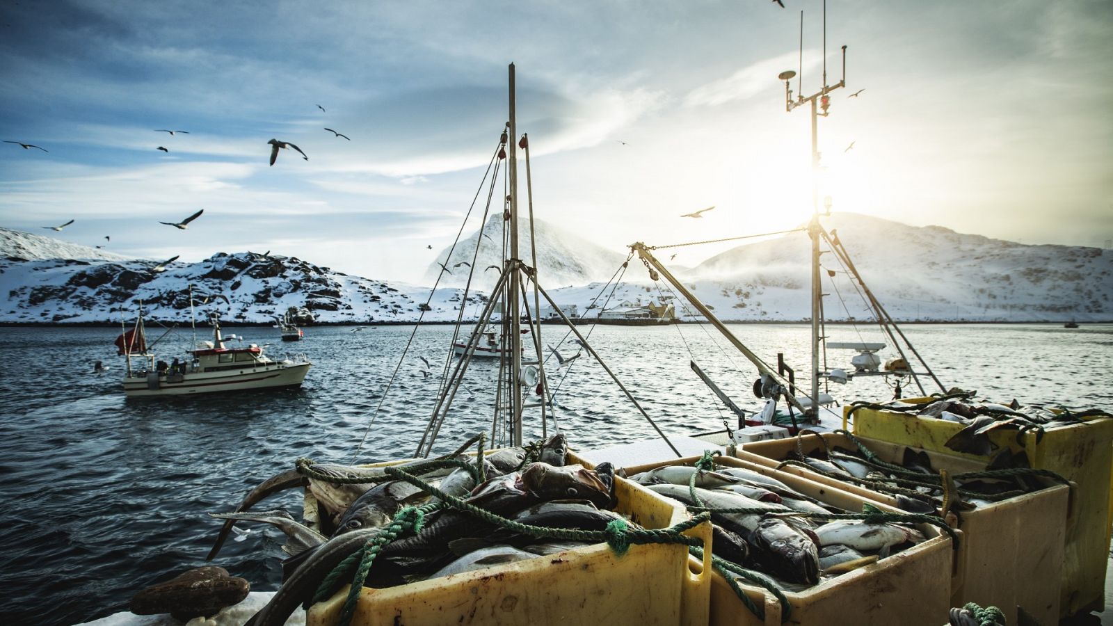 El presidente de la Alianza Europea de Pesca de Fondo, Iván López Van der Veen, ha señalado que el veto europeo a la pesca de fondo es una medida "muy mal desarrollada".