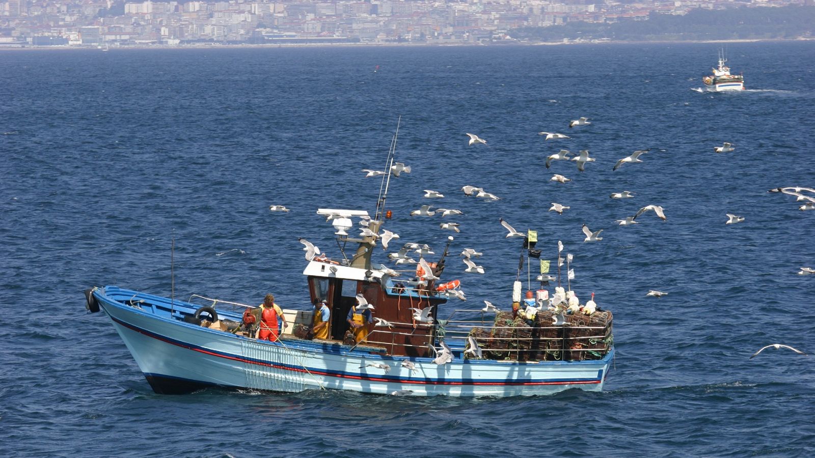 Entra en vigor el veto europeo a la pesca de fondo