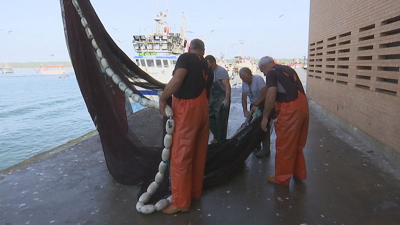 El veto a la pesca de arrastre preocupa - Ver ahora