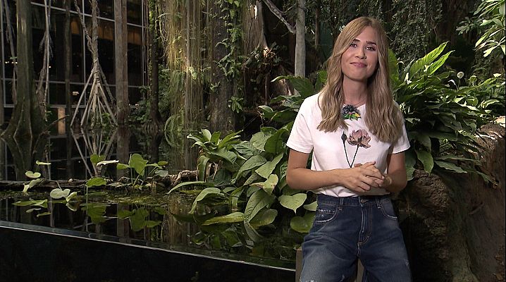 Va de verd - El reg: hidroponia i aquaponia