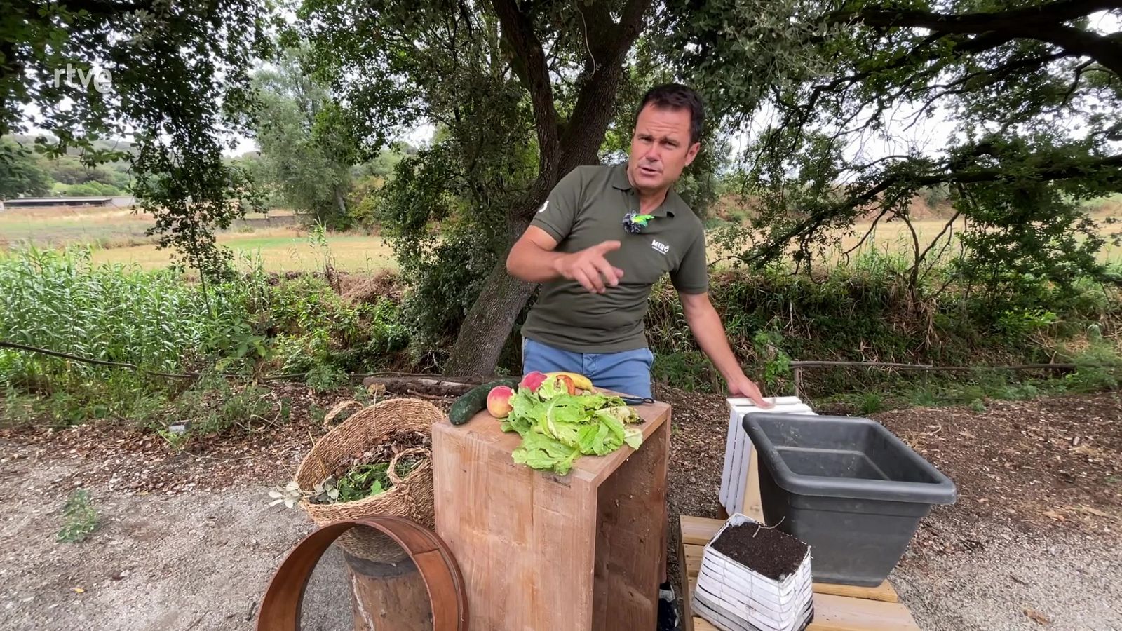 Va de verd - No deixis les plantes sense reg quan marxis de vacances - veure ara