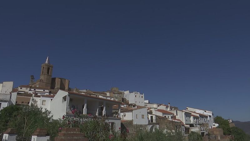 Endesa indemnizará por una caída mortal - Ver ahora