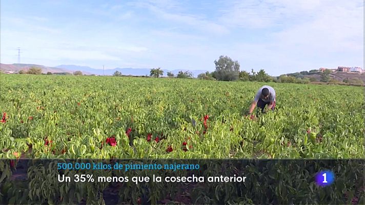 Informativo Telerioja - Telerioja en 2' - 13/10/22