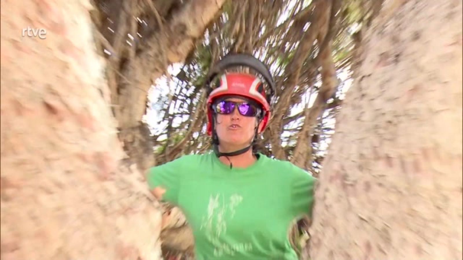 Aquí Hay Trabajo - La arbolista y su trabajo - ver ahora