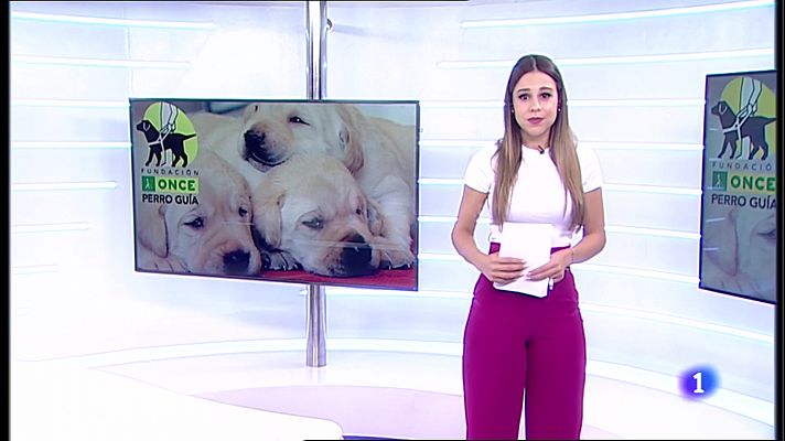 Informativo Telerioja - Informativo Telerioja 2  - 14/10/22