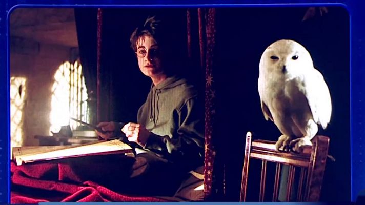 El comodín de La 1 - Programa 9