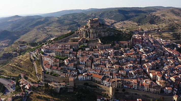 Morella