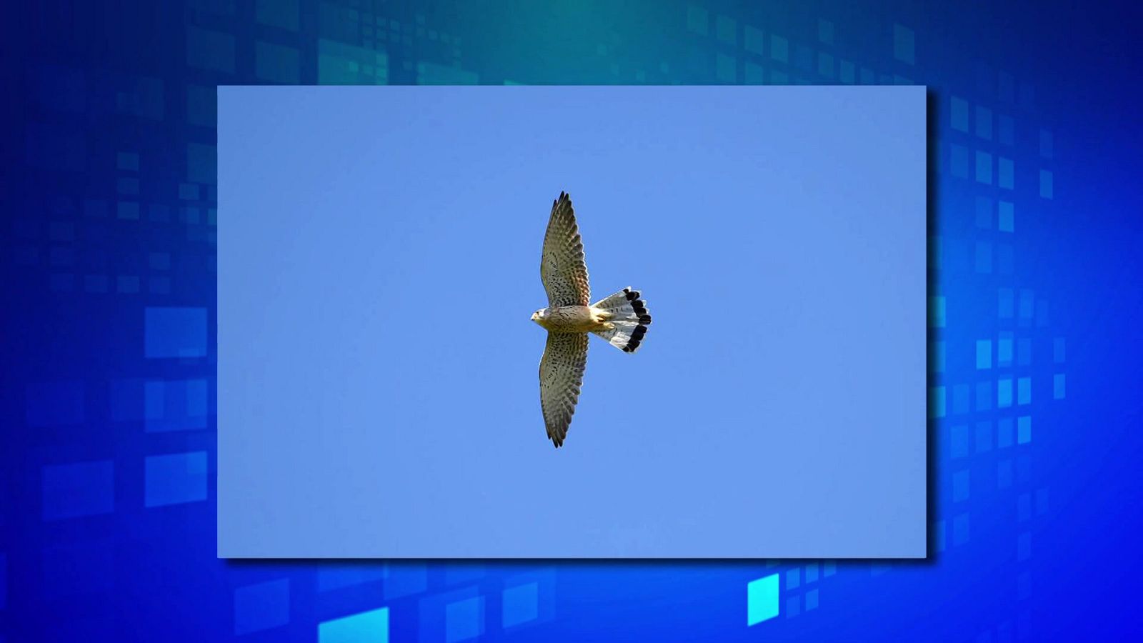 Saber y ganar. Edición de fin de semana - 16/10/22 - ver ahora