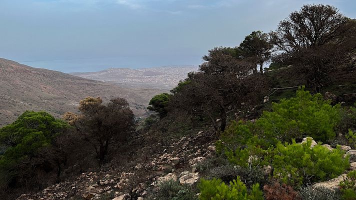 Aumenta la tensión en la frontera de Marruecos con Melilla