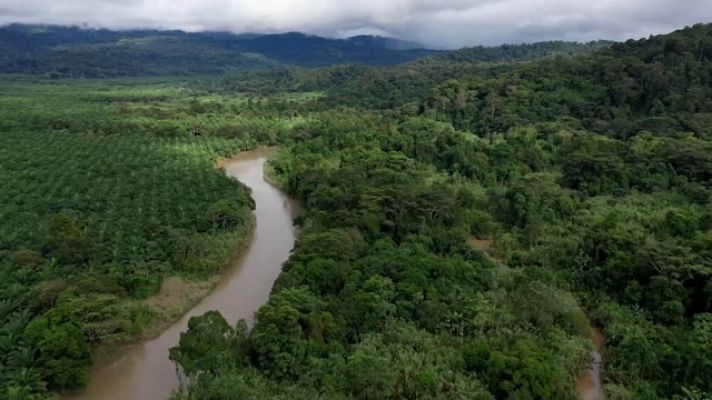 Turisme Rural al Món - Costa Rica: el secret de la jungla