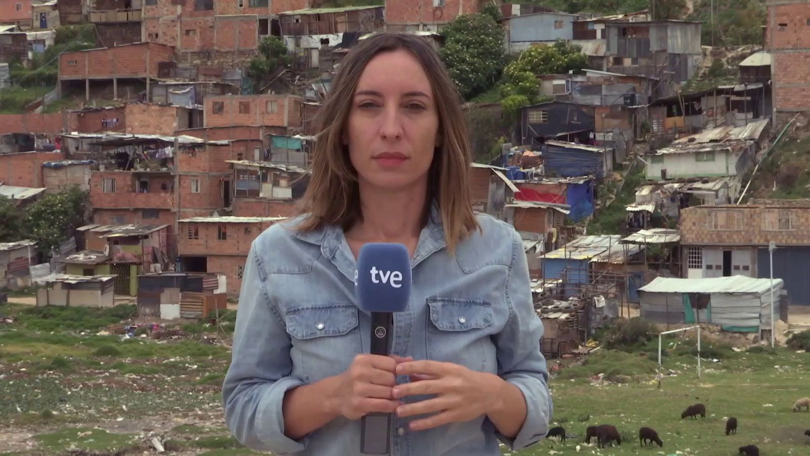Beatriz Viaño - Periodista 