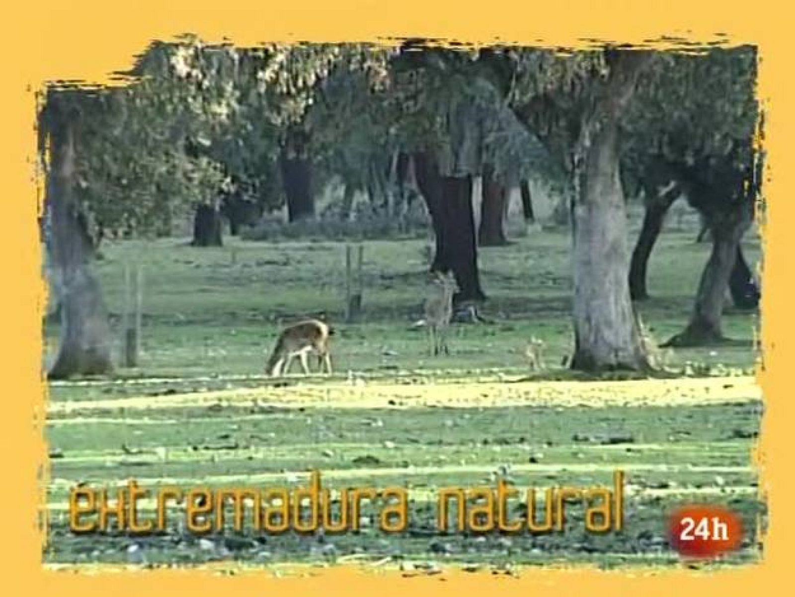 NATURAL: ¿Ganar beneficios a costa de ganarle terreno al mar? (18/01/10)