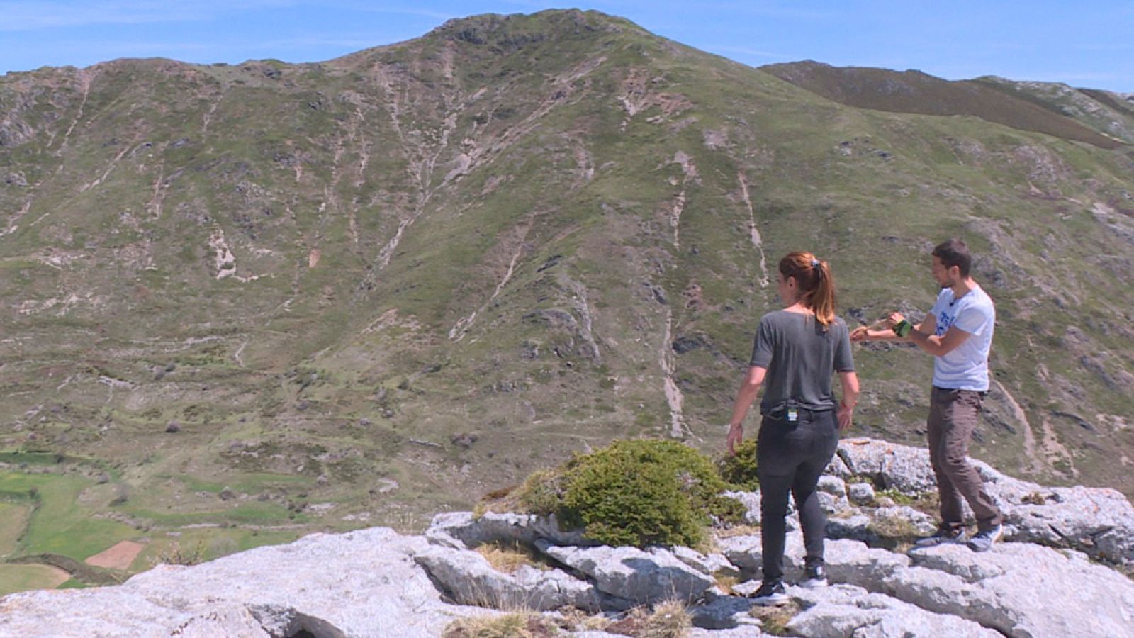 Comando Actualidad - Soledad - ver ahora