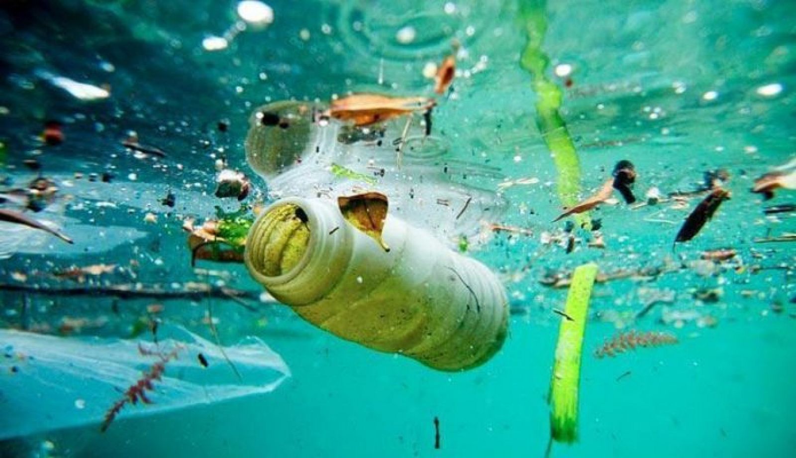 La contaminación de nuestros mares