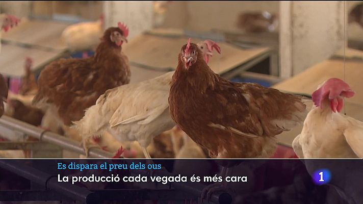 Informatiu Balear - Informatiu Balear 1 - 19/10/22